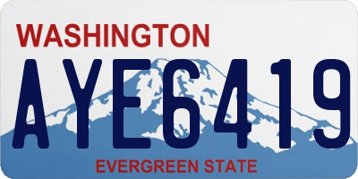 WA license plate AYE6419