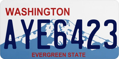 WA license plate AYE6423