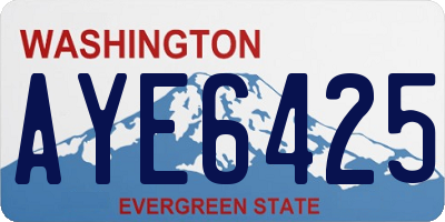 WA license plate AYE6425
