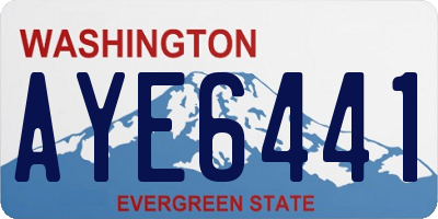 WA license plate AYE6441