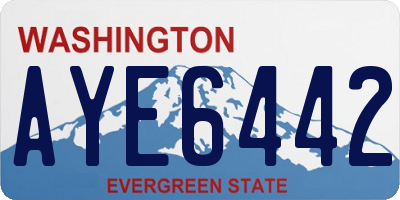 WA license plate AYE6442