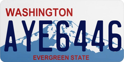 WA license plate AYE6446