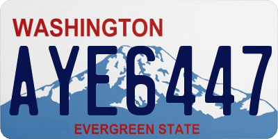 WA license plate AYE6447