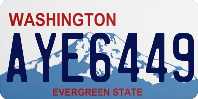 WA license plate AYE6449