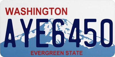 WA license plate AYE6450