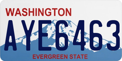 WA license plate AYE6463