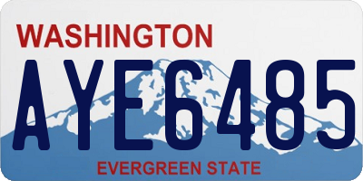 WA license plate AYE6485
