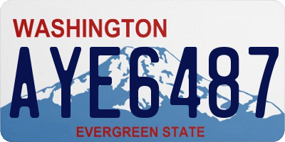 WA license plate AYE6487