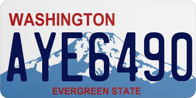 WA license plate AYE6490