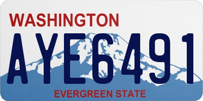 WA license plate AYE6491