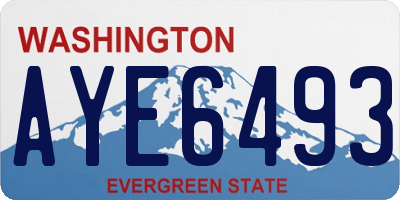 WA license plate AYE6493