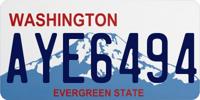 WA license plate AYE6494