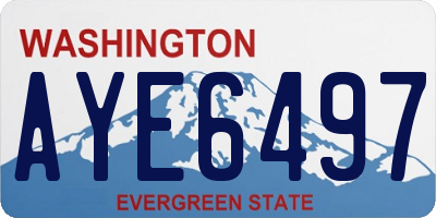 WA license plate AYE6497