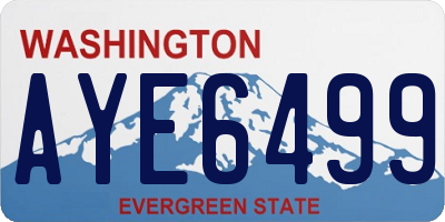 WA license plate AYE6499