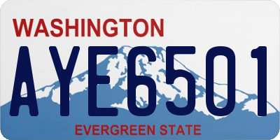 WA license plate AYE6501