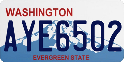 WA license plate AYE6502