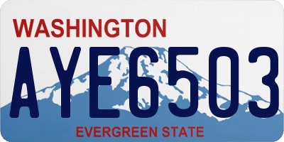 WA license plate AYE6503