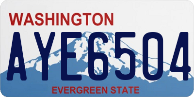 WA license plate AYE6504