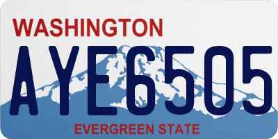 WA license plate AYE6505