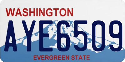 WA license plate AYE6509