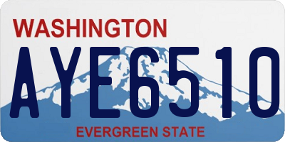 WA license plate AYE6510