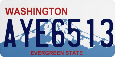 WA license plate AYE6513