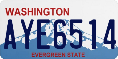 WA license plate AYE6514