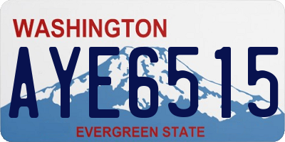 WA license plate AYE6515