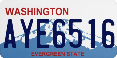 WA license plate AYE6516