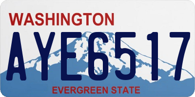 WA license plate AYE6517