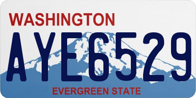 WA license plate AYE6529