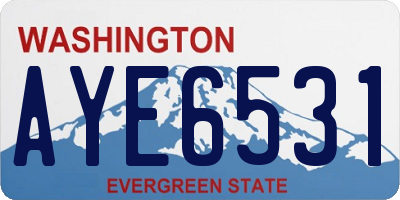 WA license plate AYE6531