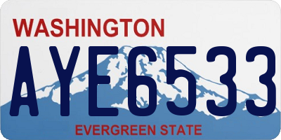 WA license plate AYE6533