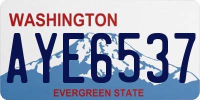 WA license plate AYE6537