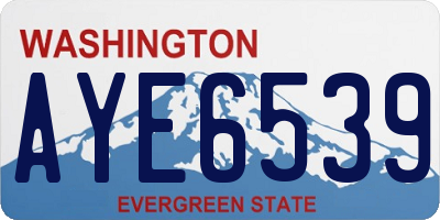 WA license plate AYE6539