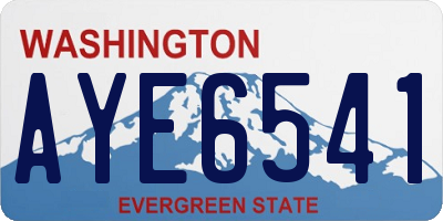 WA license plate AYE6541