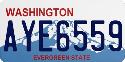 WA license plate AYE6559