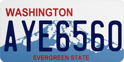 WA license plate AYE6560