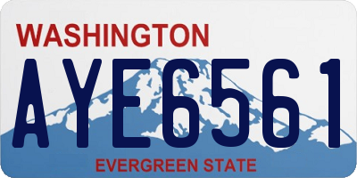 WA license plate AYE6561