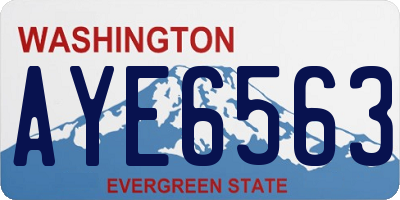 WA license plate AYE6563