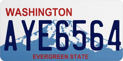 WA license plate AYE6564