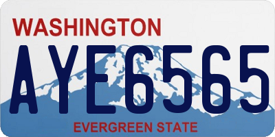 WA license plate AYE6565