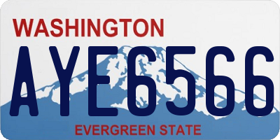 WA license plate AYE6566