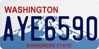 WA license plate AYE6590