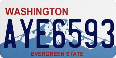 WA license plate AYE6593