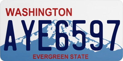 WA license plate AYE6597