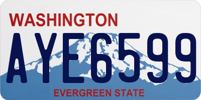 WA license plate AYE6599