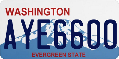 WA license plate AYE6600