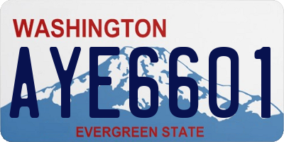 WA license plate AYE6601