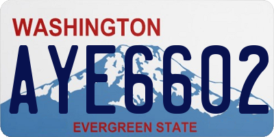 WA license plate AYE6602